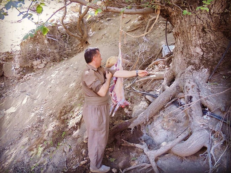 سرقت گوسفند یکی از روستائیان کردستان ایران توسط تروریستهای حزب دمکرات کردستان ایران+ عکس