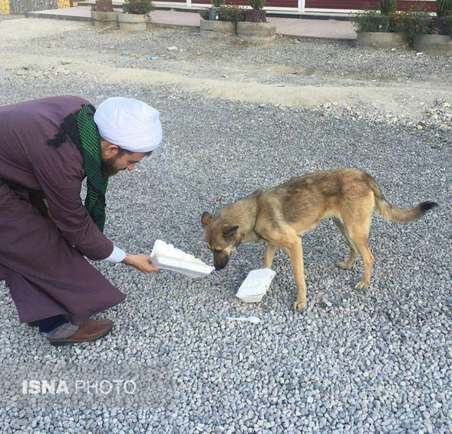 حقوق بی نظیر حیوانات در اسلام