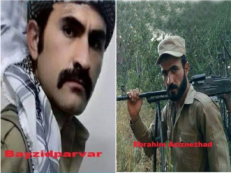 هلاکت تعداد دیگری از نیروهای حزب منحله دمکرات کردستان/ یک عضو حزب دمکرات دستگیر شد