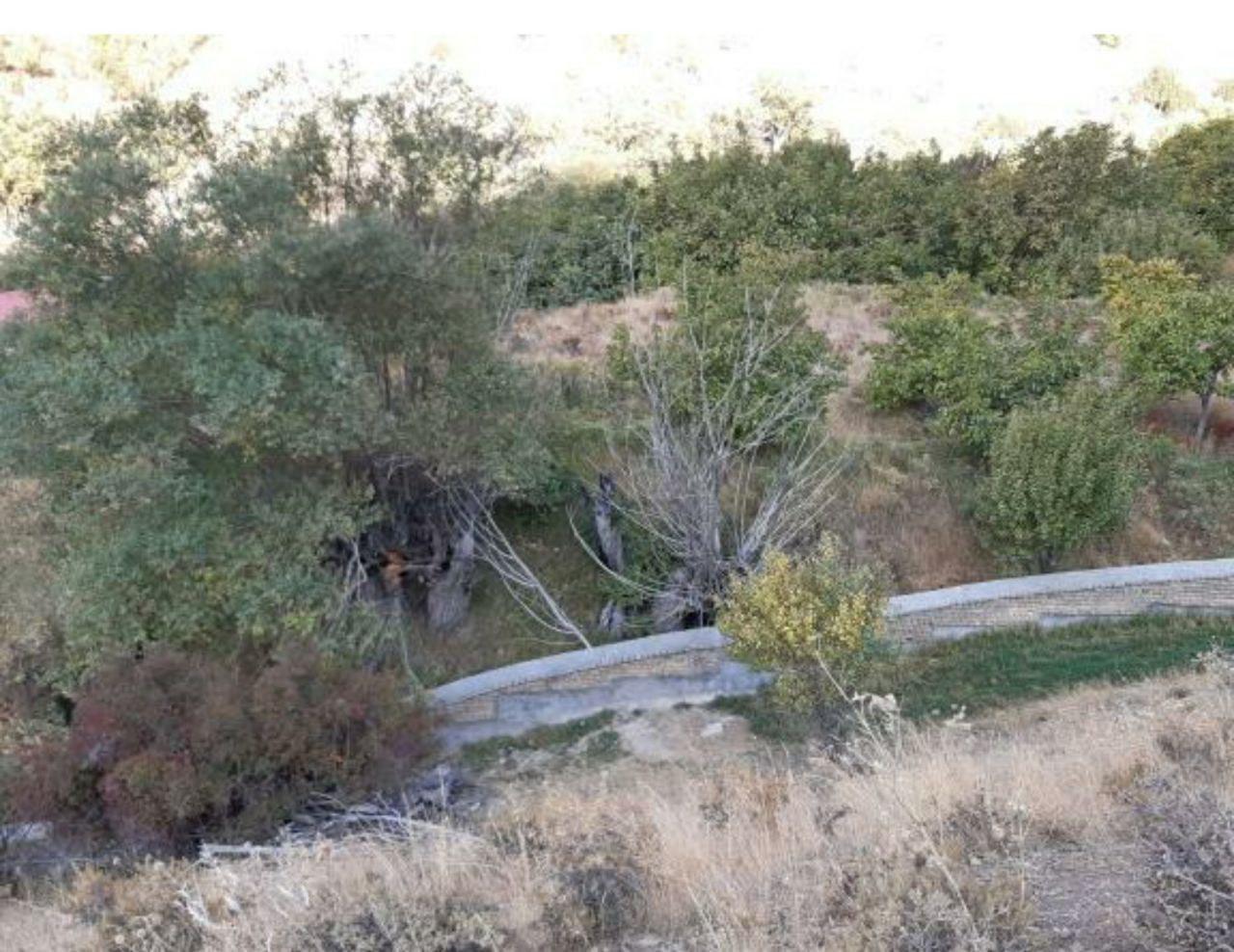 آغاز کوه خواری و زمین خواری جدید در تپه های بالای روستای اصلی لواسان بزرگ