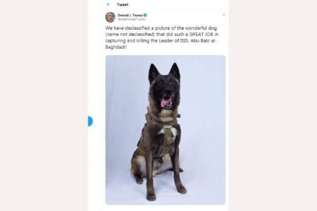 رونمایی ترامپ از سگ شگفت انگیز عملیات ضد بغدادی