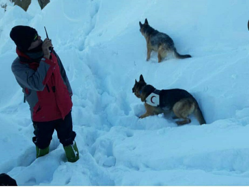 مرگ تلخ کولبر نوجوان در سرما