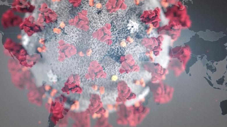 منشاء جدید ویروس کرونا کشف شد
