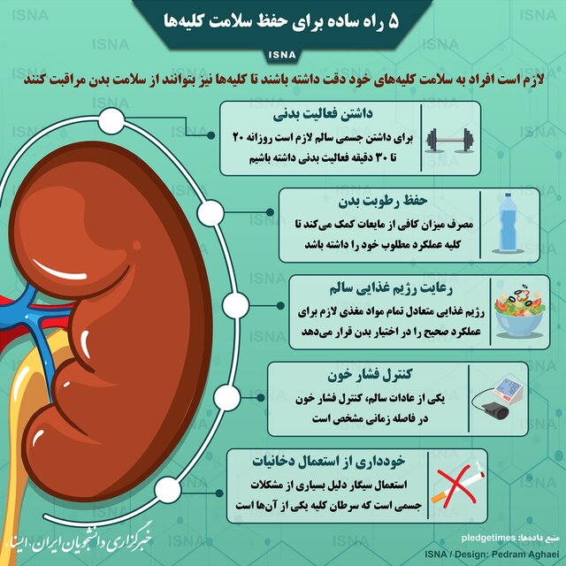 اینفوگرافیک / پنج راه ساده برای حفظ سلامت کلیه‌ها