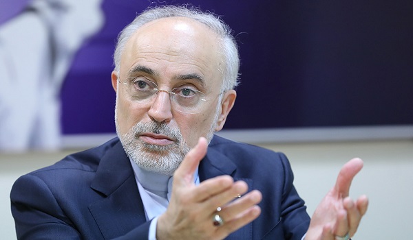 حرفهای صالحی به عنوان یکی از مقامات ارشد تیم مذاکره کننده ایران و رییس سازمان انرژی اتمی بهت آور است