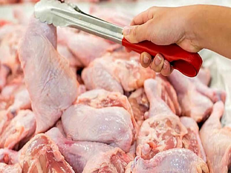 انتقاد و گلایه شدید مرغداران به اعلام قیمت مرغ توسط قالیباف