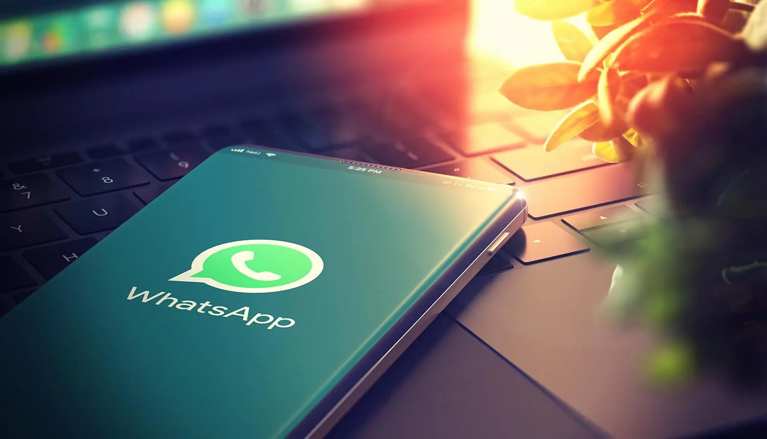 واتساپ با پیامهای استاتوس از تعهدش به حفظ حریم خصوصی کاربران خبر میدهد واتساپ با پیامهای استاتوس از تعهدش به حفظ حریم خصوصی کاربران خبر میدهد