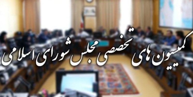 لیست کمیسیون‌های تخصصی مجلس 19 نفره بسته شد