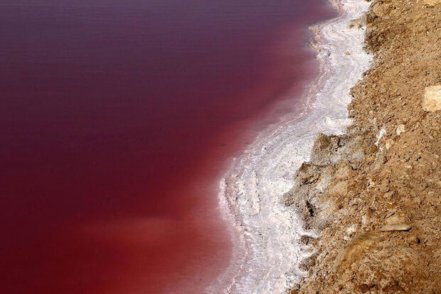پدیده ای نادر در دریاچه نمک قم+عکس