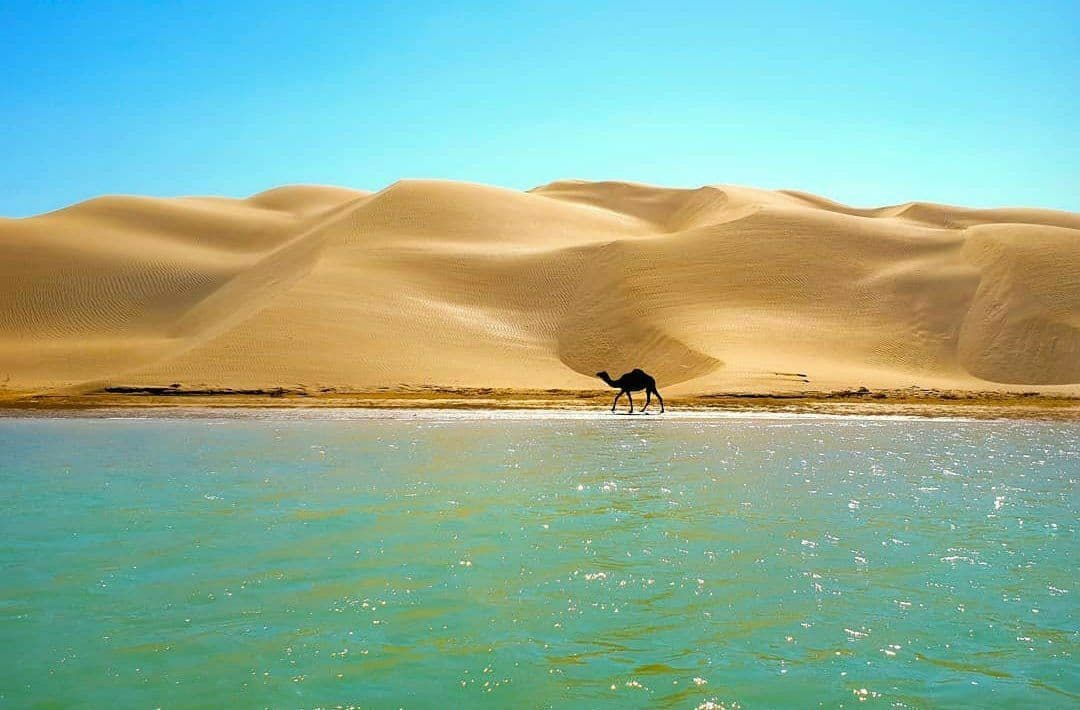 تلاقی کویر ودریا خدای زیبایی در سیستان