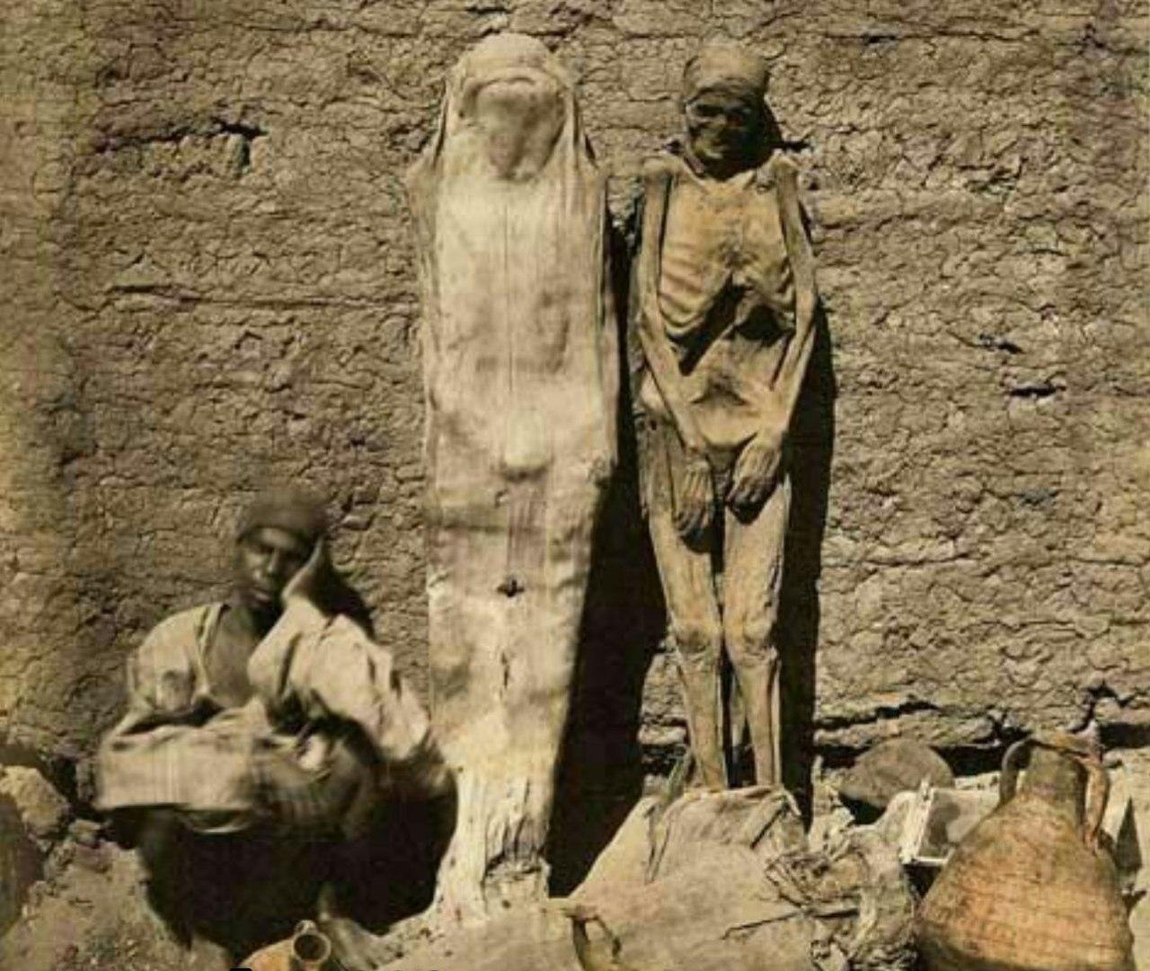 تصویری از فروش اجساد مومیایی در سال 1870 در قاهره مصر