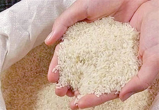 همواره برنج گران قیمت برنج با کیفیت نیست