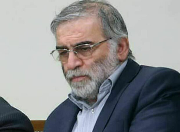 نزنیم میزنند نزنیم میزنند