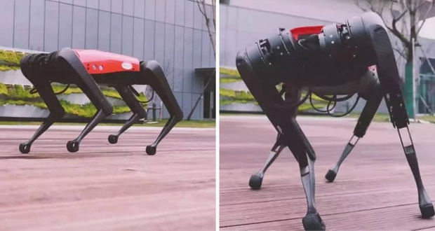 با سگ رباتیک آلفاداگ آشنا شوید