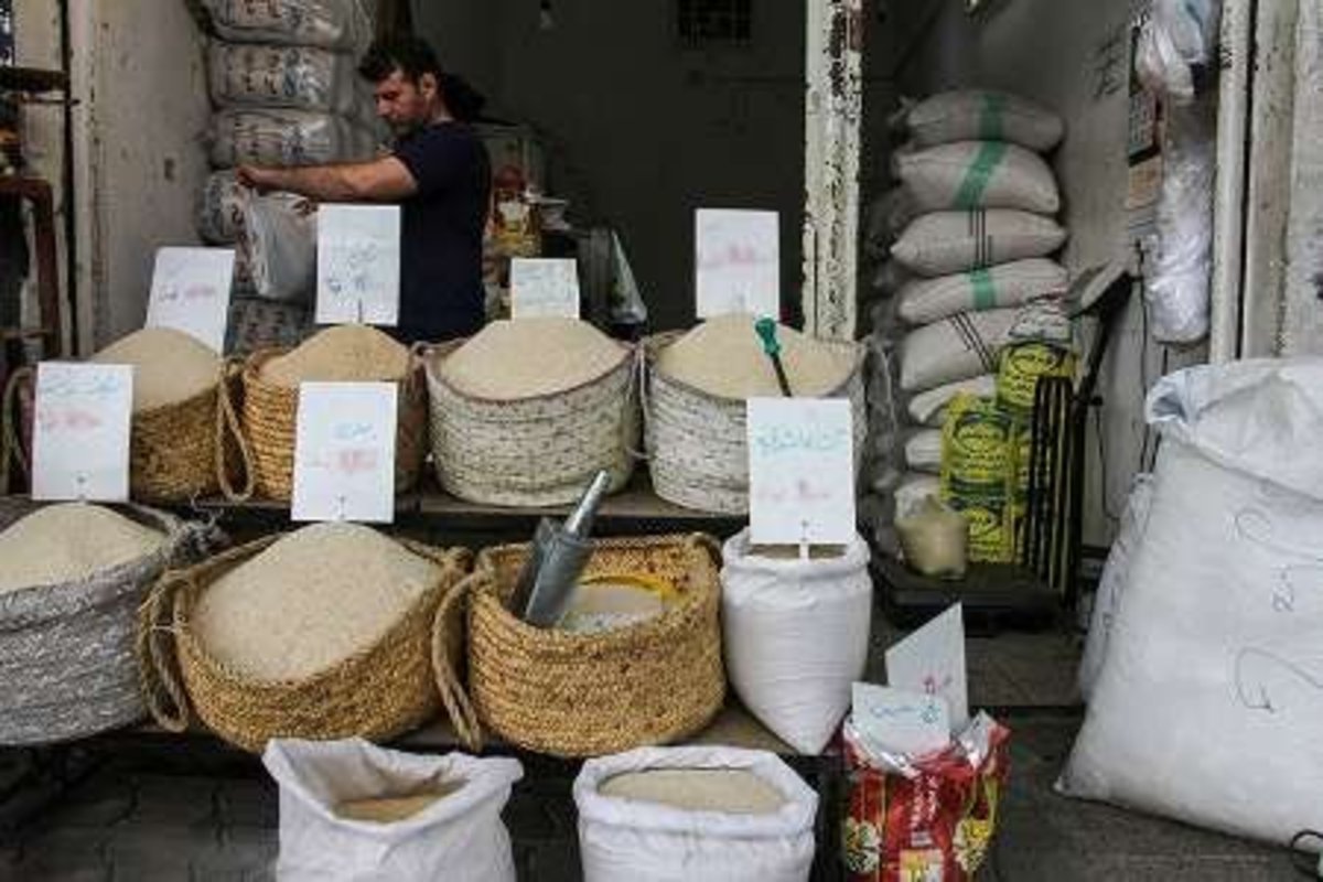 غوغای دلال‌ها؛ سود برنج ۶۰ تا ۸۰ هزار تومانی در جیب کشاورز نمی‌رود