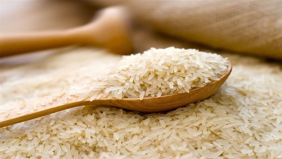 دلالان برنج را ۳۰ هزار تومان گران‌تر می‌فروشند!