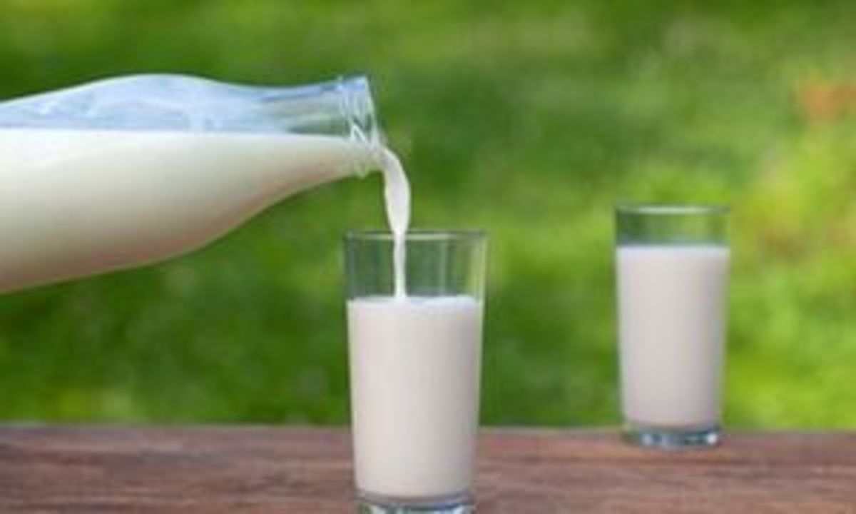 بهترین و بدترین زمان نوشیدن شیر