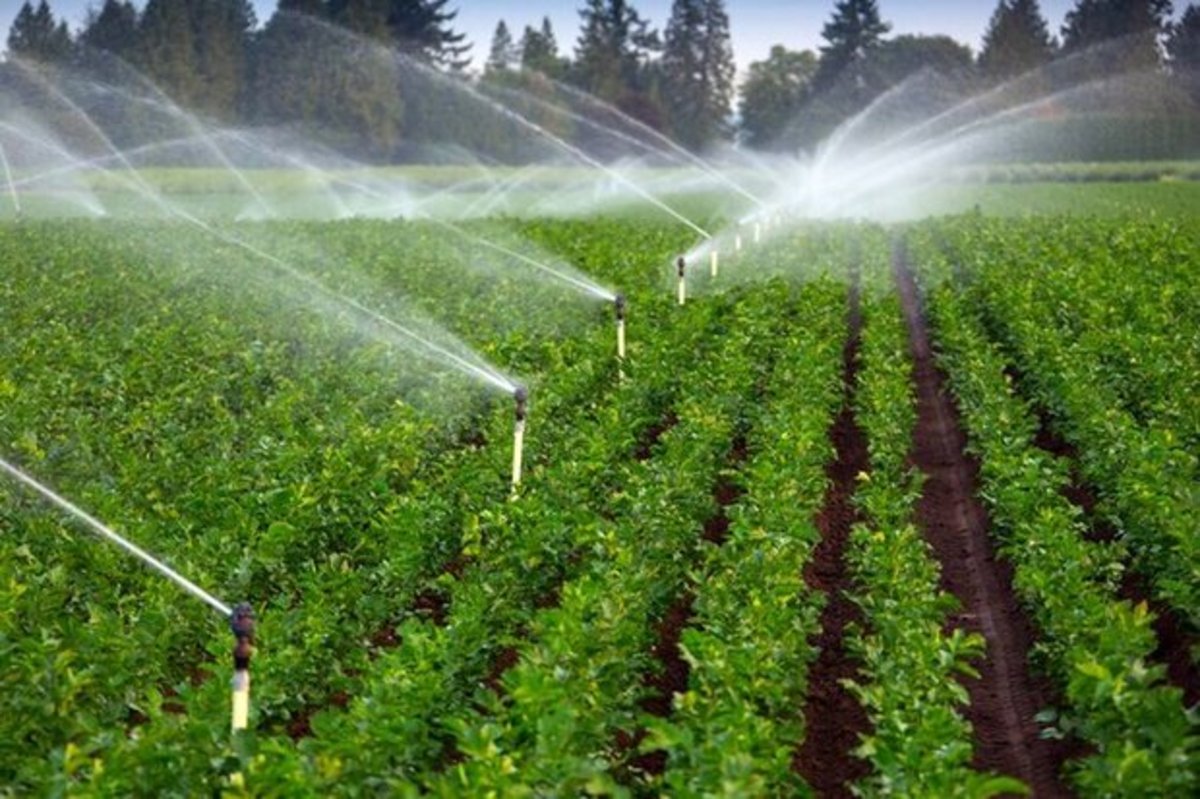 بهبود تولید محصولات کشاورزی در چین با توسعه آبخیزداری