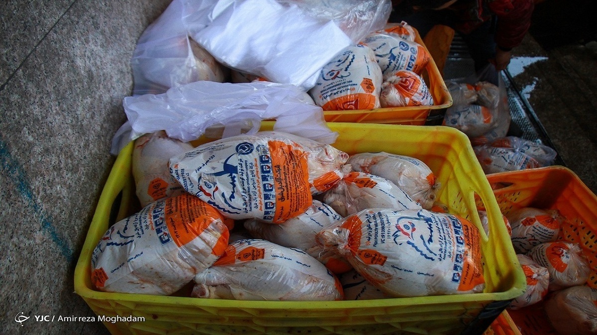 عرضه روزانه مرغ در شب عید به ۷ هزار و ۸۰۰ تن می‌رسد
