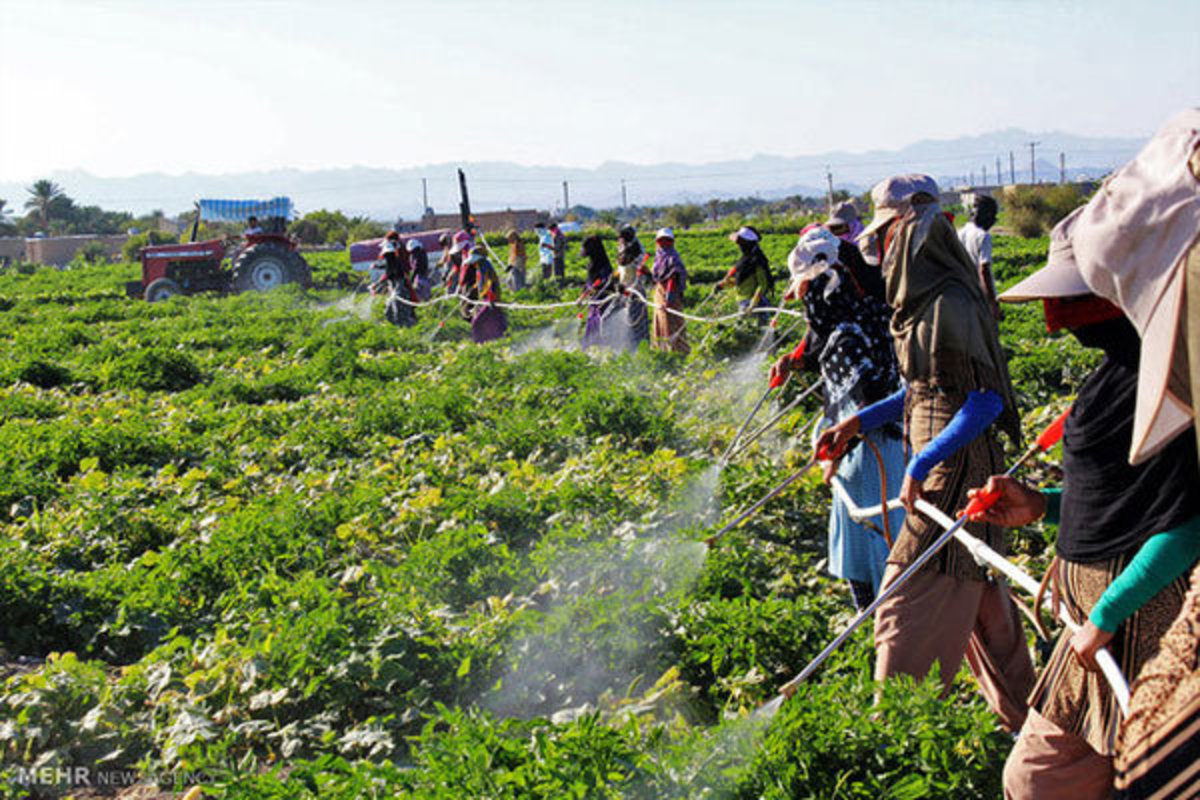 توافق ایران و برزیل برای افزایش تجارت در حوزه کشاورزی