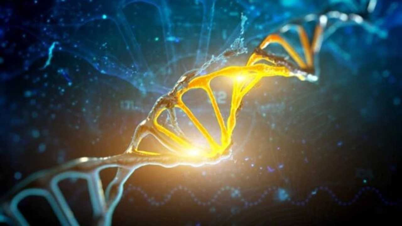 ژنتیک شما طول عمرتان را تعیین می‌کند؟!