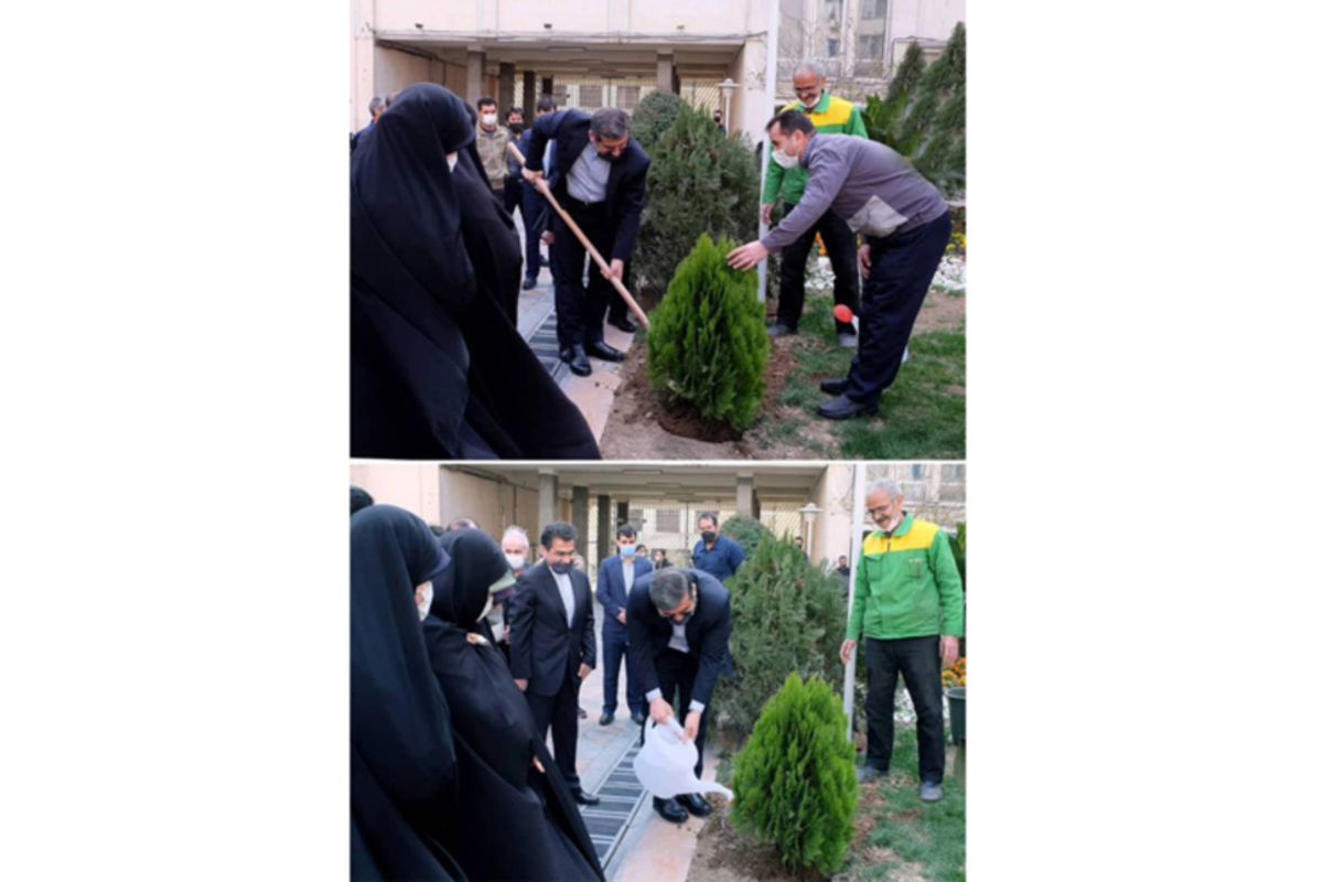 کاشت نهال سرو توسط وزیر فرهنگ در روز درختکاری