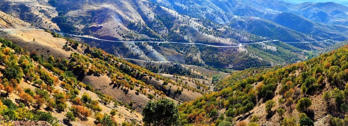 رشد 54 درصدی تولید شمش آلومینیوم در شرکت آلومینای ایران/تولید بیش از ۷۹۴ هزار تن آهن اسفنجی در جهان فولاد سیرجان