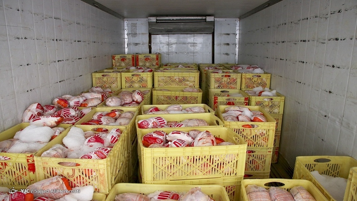 روزانه ۷ هزار تن مرغ در کشور توزیع می‌شود