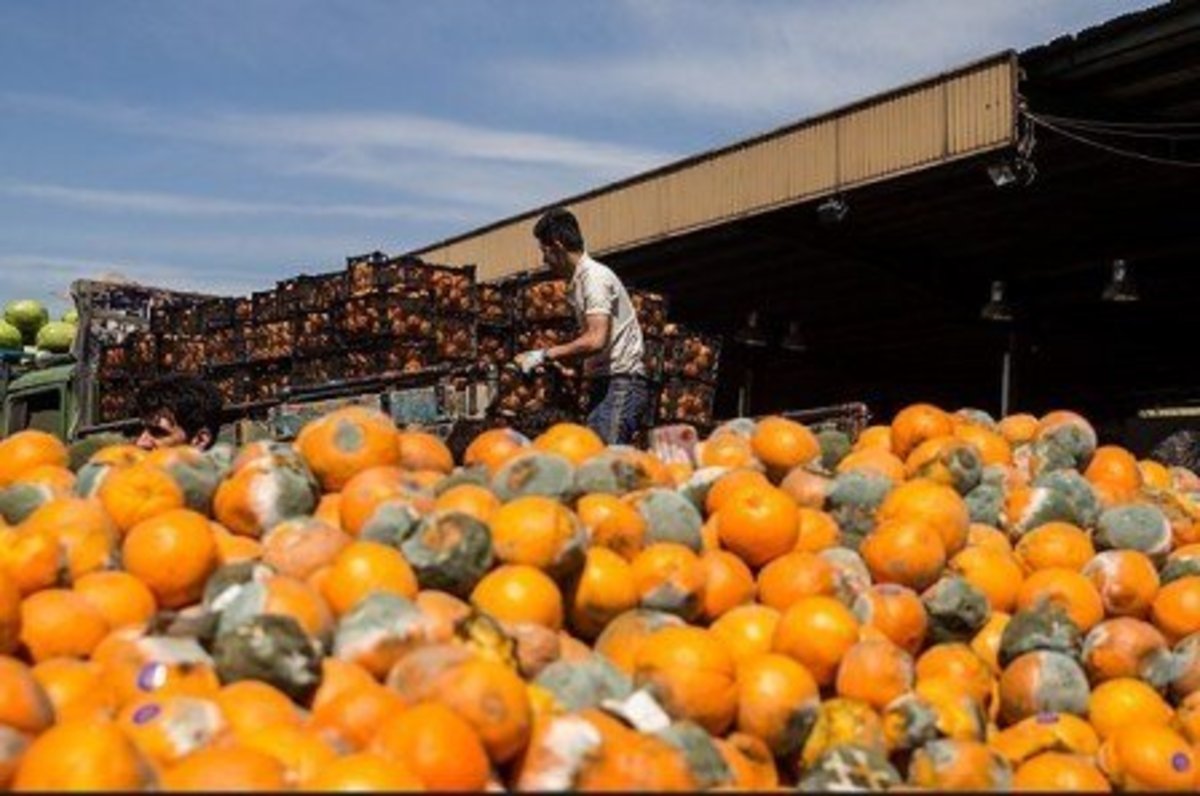توزیع سیب و پرتقال شب عید در میادین با زیر قیمت ۱۳ هزار تومان