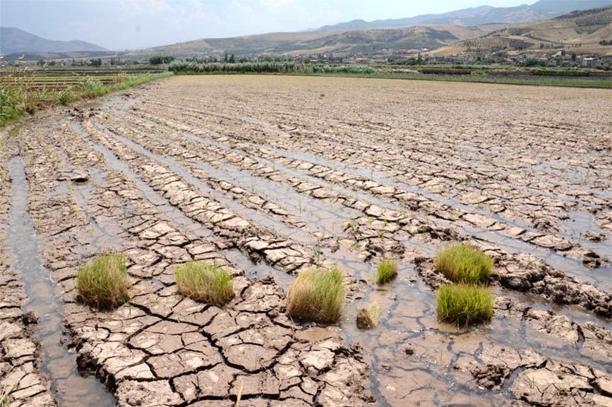 زارع: کمبود آب کشاورزی مردم را عصبی کرده است / نجار: گله‌مند میزان تخصیص اعتبار هستیم