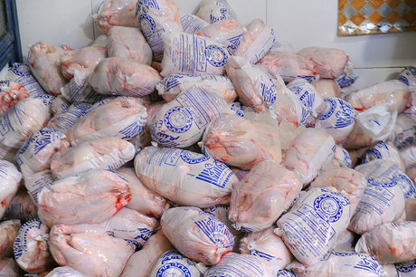 وزارت صمت ممنوعیت صادرات مرغ را ۴ ماه بعد اعلام کرد!