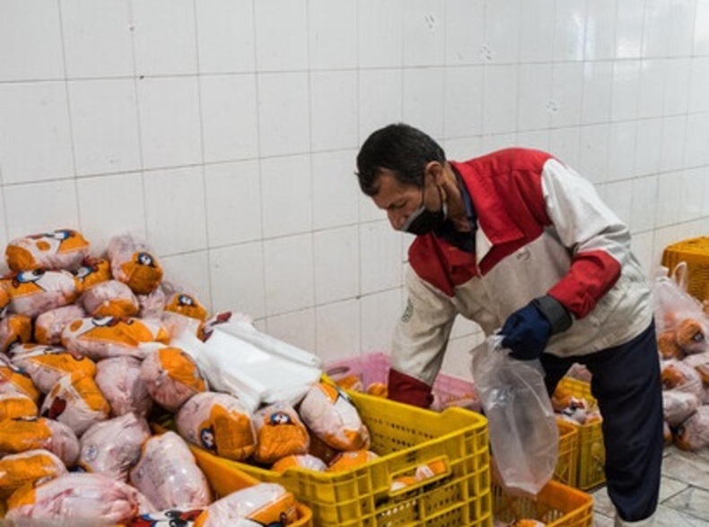 گرانفروشی مرغ ربطی به وزارت جهاد کشاورزی ندارد