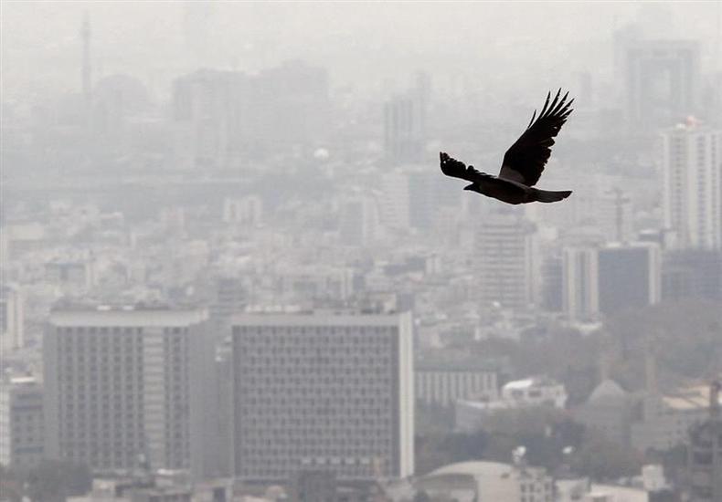 شیب ملایم افزایش نرخ اجاره‌بها در تهران