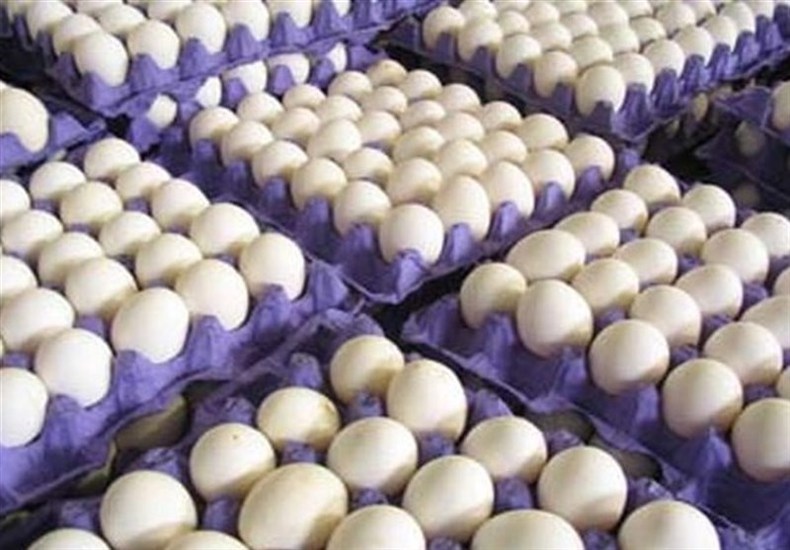 درخواست مرغداران برای افزایش قیمت مصوب تخم مرغ