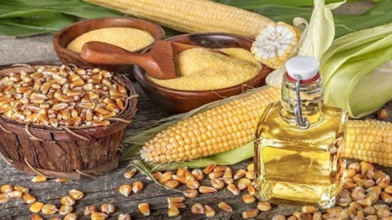 موافقت ستاد تنظیم بازار با واردات ۳۰۰ هزار تن دانه روغنی