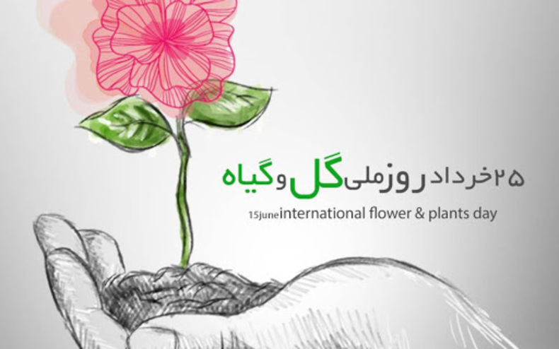 به مناسبت 25 خرداد روز جهانی گل که از تقویم ملی حذف شد
