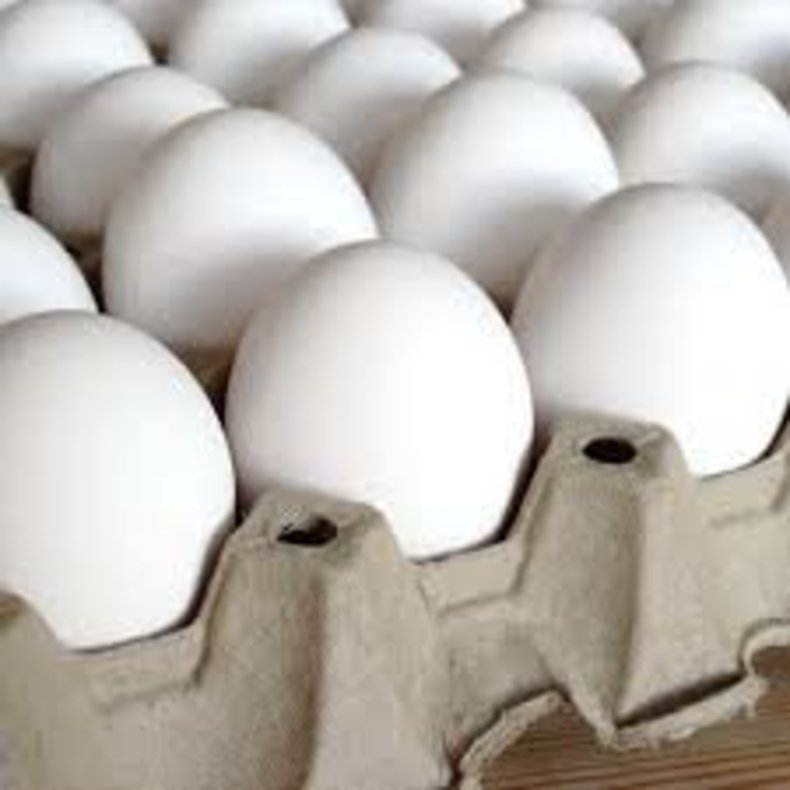 تخم مرغ مدیریت شده تر صادر می شود/ قطر هدف صادراتی خوبی است