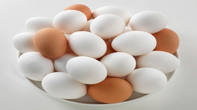صادرات تخم‌مرغ همچنان ممنوع/نرخ هر شانه ۳۲ هزار تومان