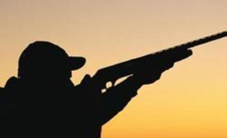شلیک به شکارچی به جای گراز/ قاتل بازداشت شد