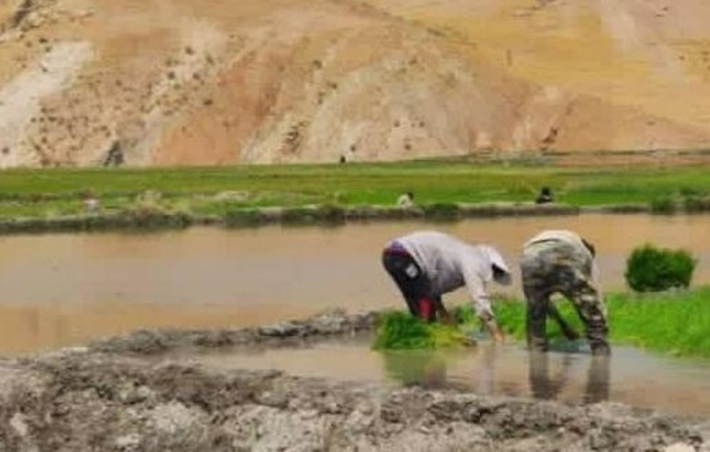 خوزستان سیراب شد؛ هیچ نقطه‌ای اکنون بدون آب نیست