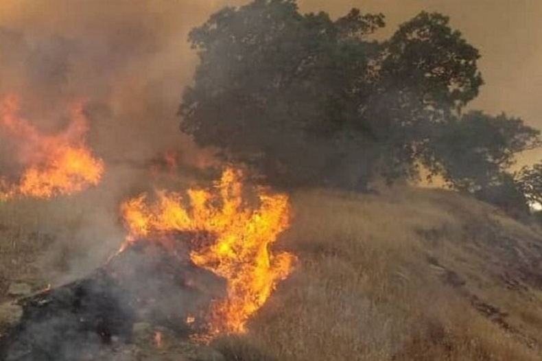 آتش‌سوزی گسترده در جنگل‌های پاوه