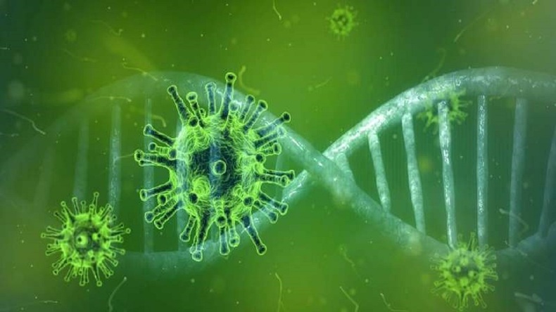 ورود ویروس کرونا به DNA بیماران صحت ندارد