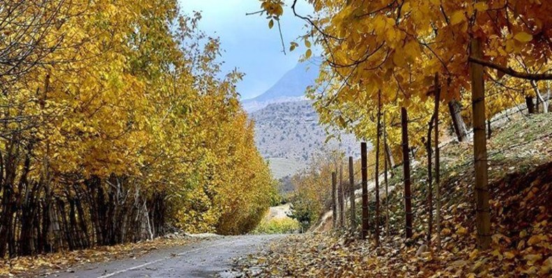 پاییز امسال گرم‌تر از حالت عادی است