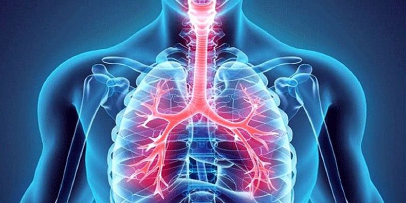 این گیاه در دسترس درمان بیماری های تنفسی است