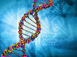 آیا «ژنتیک» افراد در میزان ابتلا به کرونا تاثیر دارد؟
