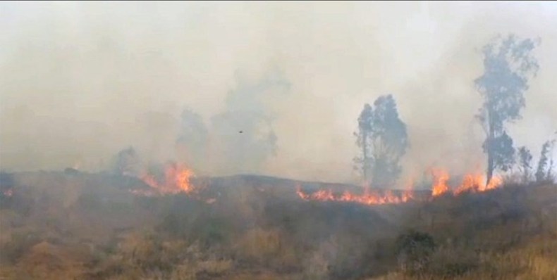 آتش سوزی در شمال فلسطین اشغالی و اخلال در برق‌رسانی