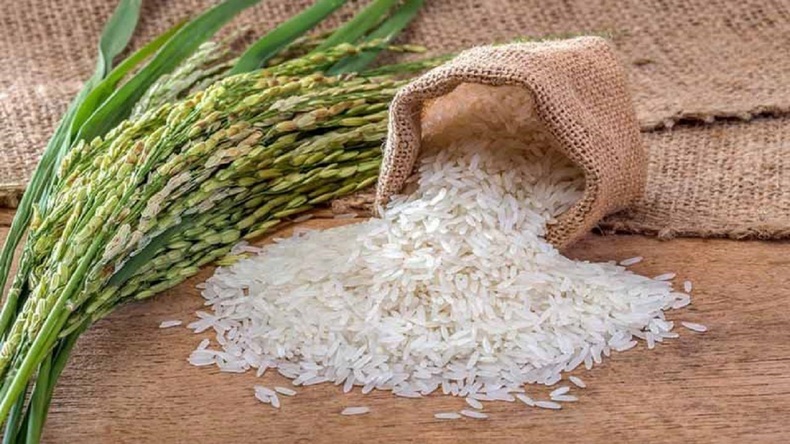 توزیع ۱۰۰ هزار تن برنج خارجی برای تعدیل قیمت در بازار