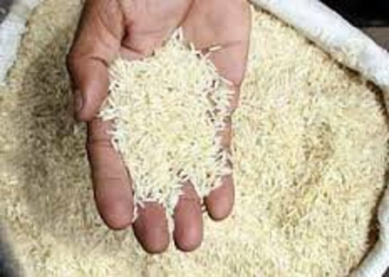 بخش قابل توجهی از مردم توان مصرف برنج۵۰هزار تومانی را ندارند