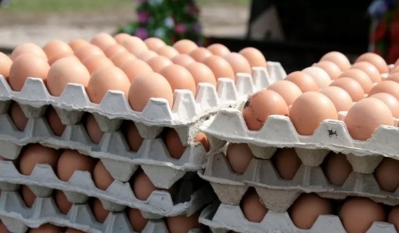 عرضه گسترده تخم مرغ با قیمت شانه ای ۴۲۵۰۰ تومان از امروز