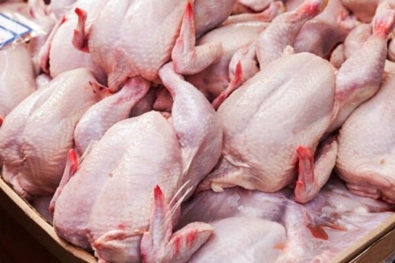 اصلاح قیمت مرغ در راستای افزایش نرخ مؤلفه‌های تولید است